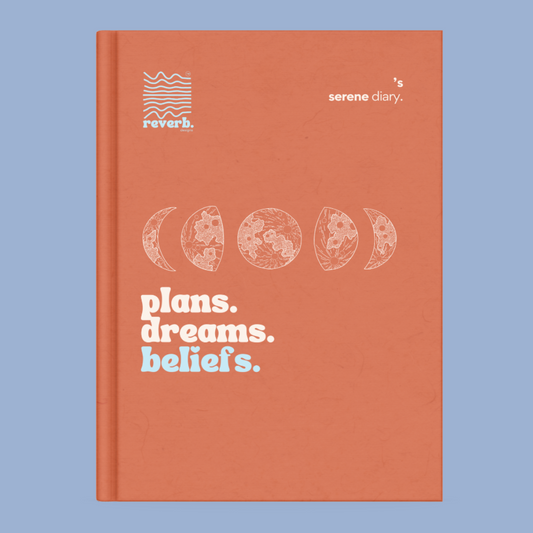 Plans dreams beliefs orange diary 3