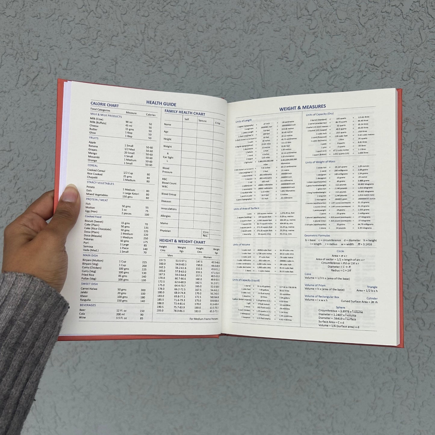 diary inside view 01